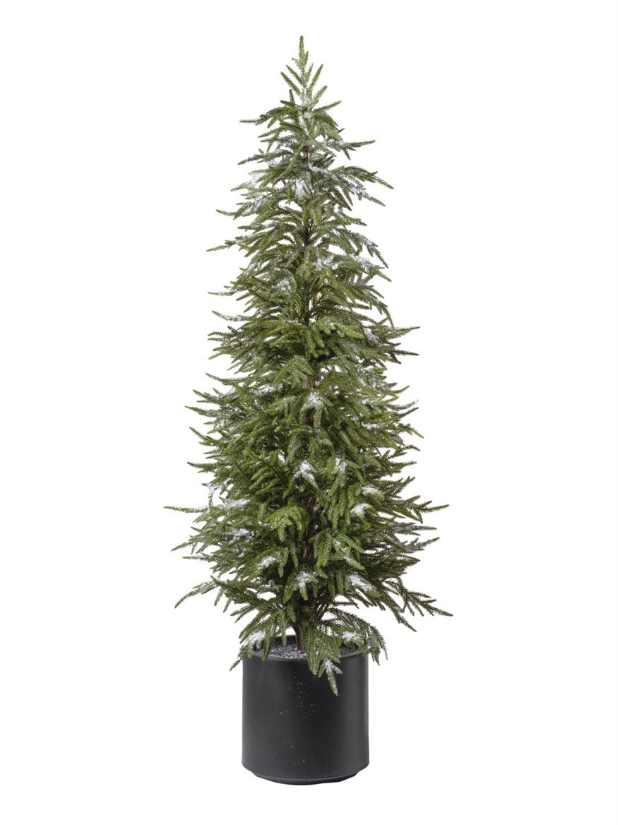 Xmas. Albero Pino Con Neve H.152 Cm