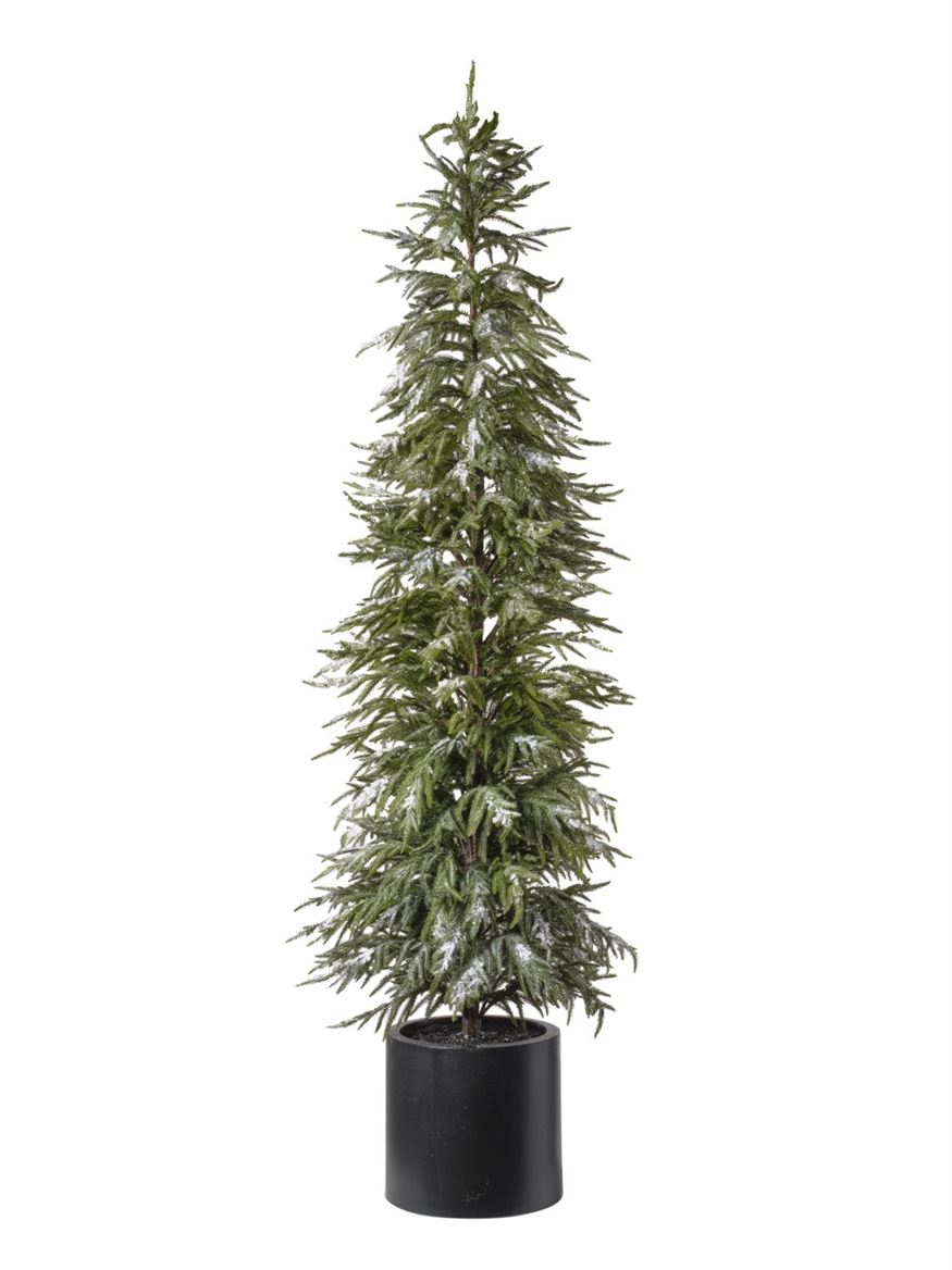 Xmas. Albero Pino Con Neve H.213 Cm