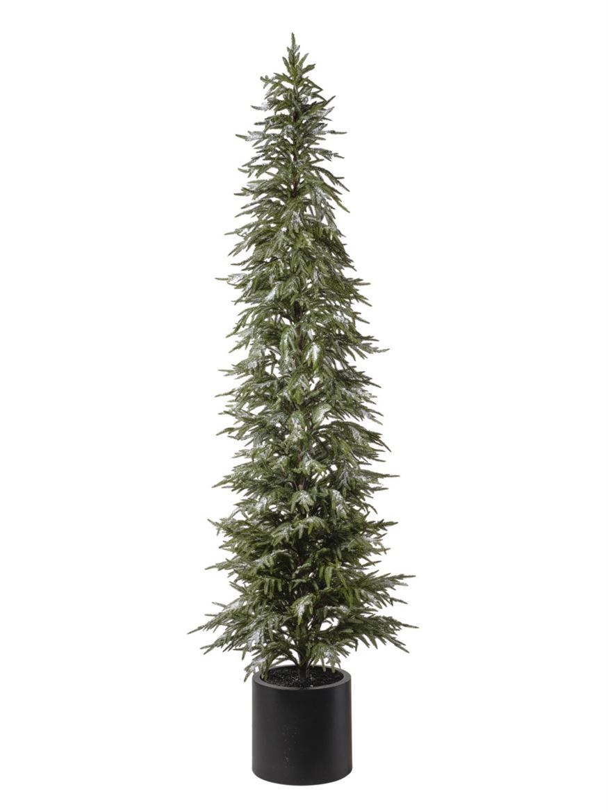 Xmas. Albero Pino Con Neve H.244 Cm
