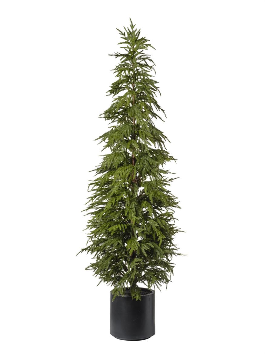 Xmas. Albero Pino Con Vaso H.183 Cm - Green