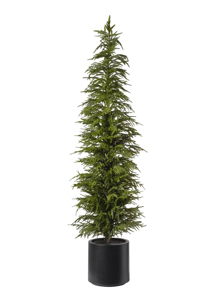 Xmas. Albero Pino Con Vaso H.213 Cm - Green