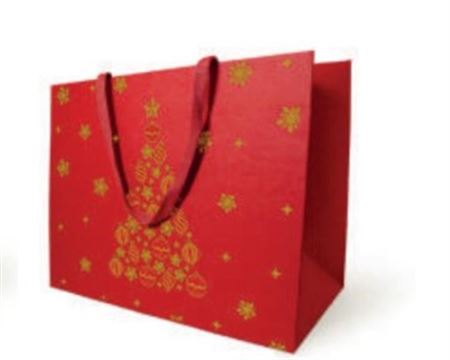 Xmas. Buste Veillèe 25x10h22cm 10pz - Red