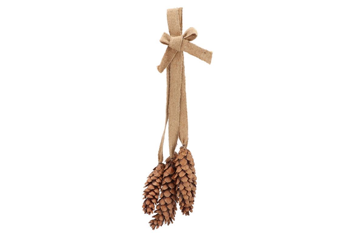 Xmas. Deco Nastro Con 5pz Pigna Naturale 15x15x68