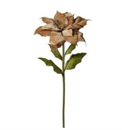 Xmas. Ramo St.natale Velluto 55x55x135cm - Tan