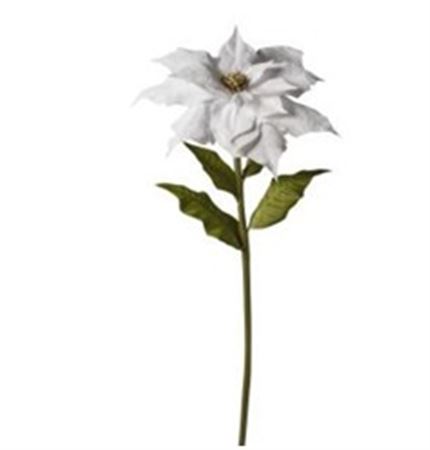 Xmas. Ramo St.natale Velluto 55x55x135cm - White