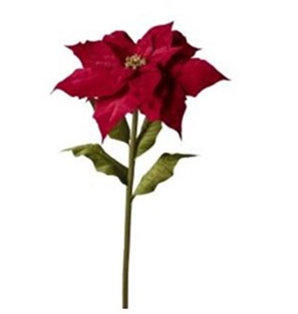 Xmas. Ramo St.natale Velluto 70x70x150cm - Red