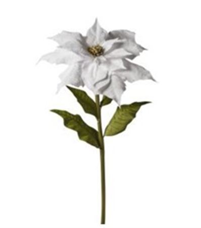 Xmas. Ramo St.natale Velluto 70x70x150cm - White