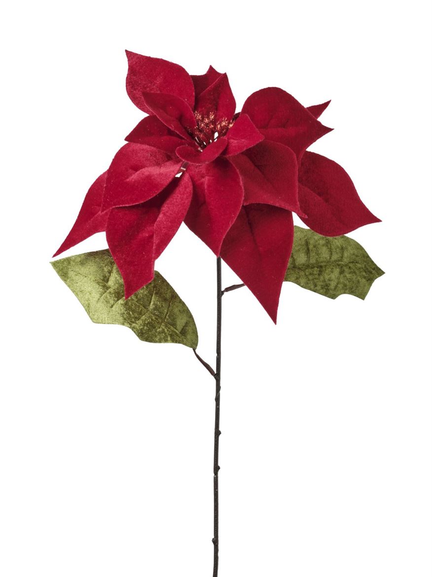 Xmas. Ramo Stella Cm 65 - Red