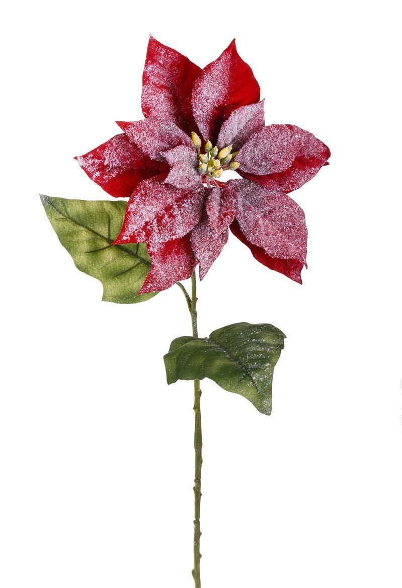 Xmas. Ramo Stella Con Neve 72cm - Red