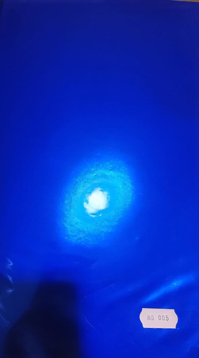Xmas. Rotolo Bob. Cm100x25m Goffr. Blu