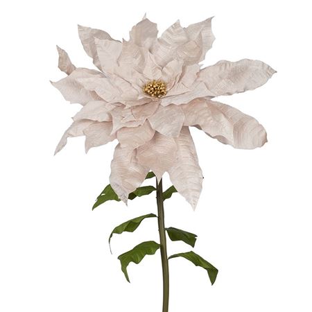 Xmas. Stella Natale Gigante D.100 H.200cm- Champ.