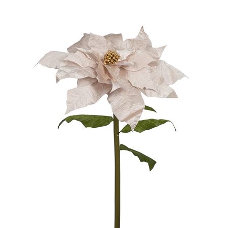 Xmas. Stella Natale Gigante D.70 H.150cm - Champ.