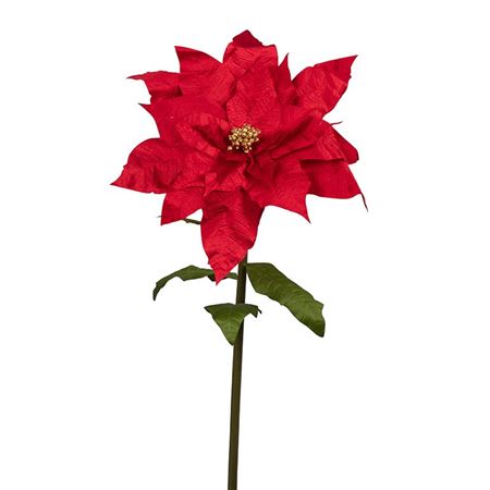 Xmas. Stella Natale Gigante D.70 H.150cm - Rosso