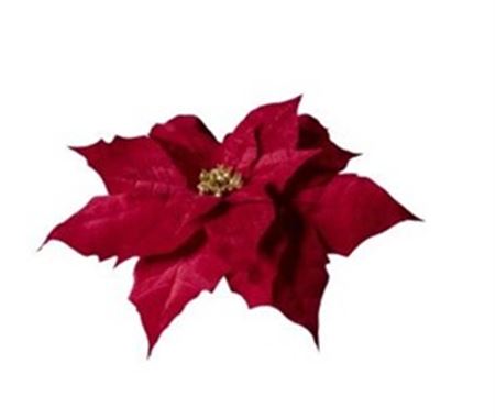 Xmas. Testa Stella Natale 70x70x15 Cm - Red