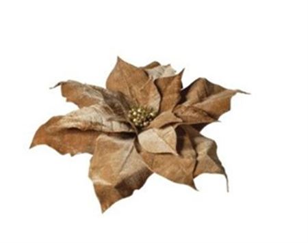 Xmas. Testa Stella Natale 70x70x15 Cm - Tan