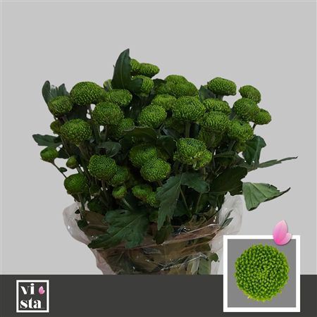 Chrys Spray Deligreen