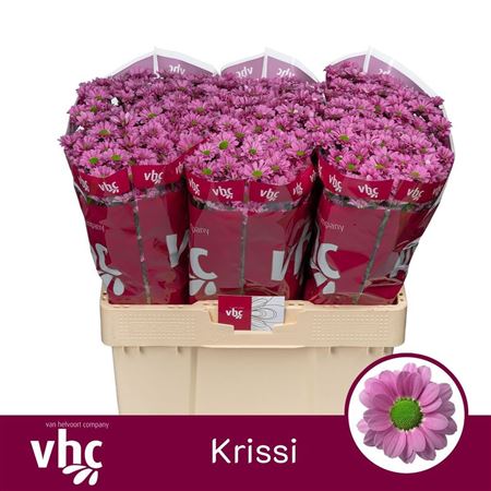 Chrys Sa Krissi