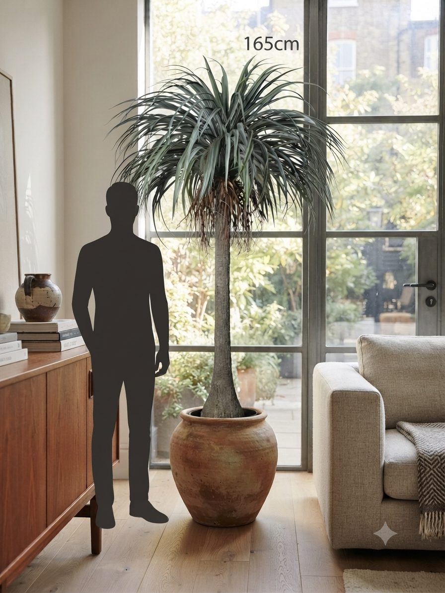 Art. Pianta Yucca In Vaso 165cm