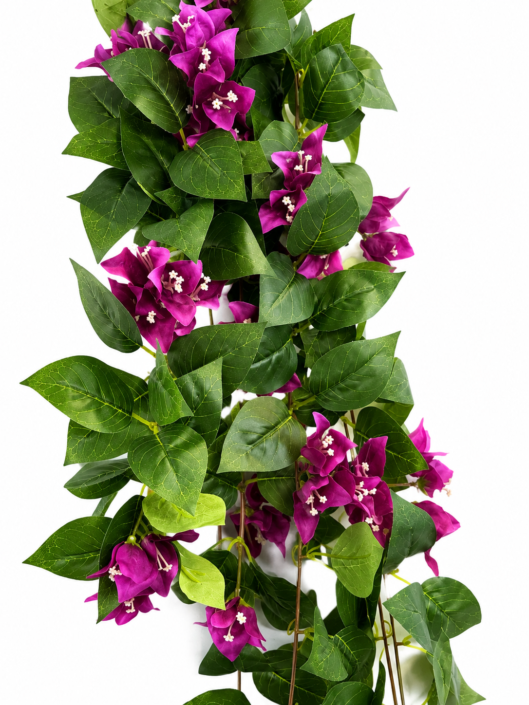 Art. Cadente Bouganvillea X10 100cm - Beauty