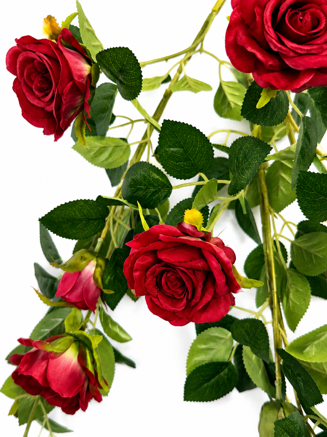 Art. Cadente Rose Cm50x85 Red
