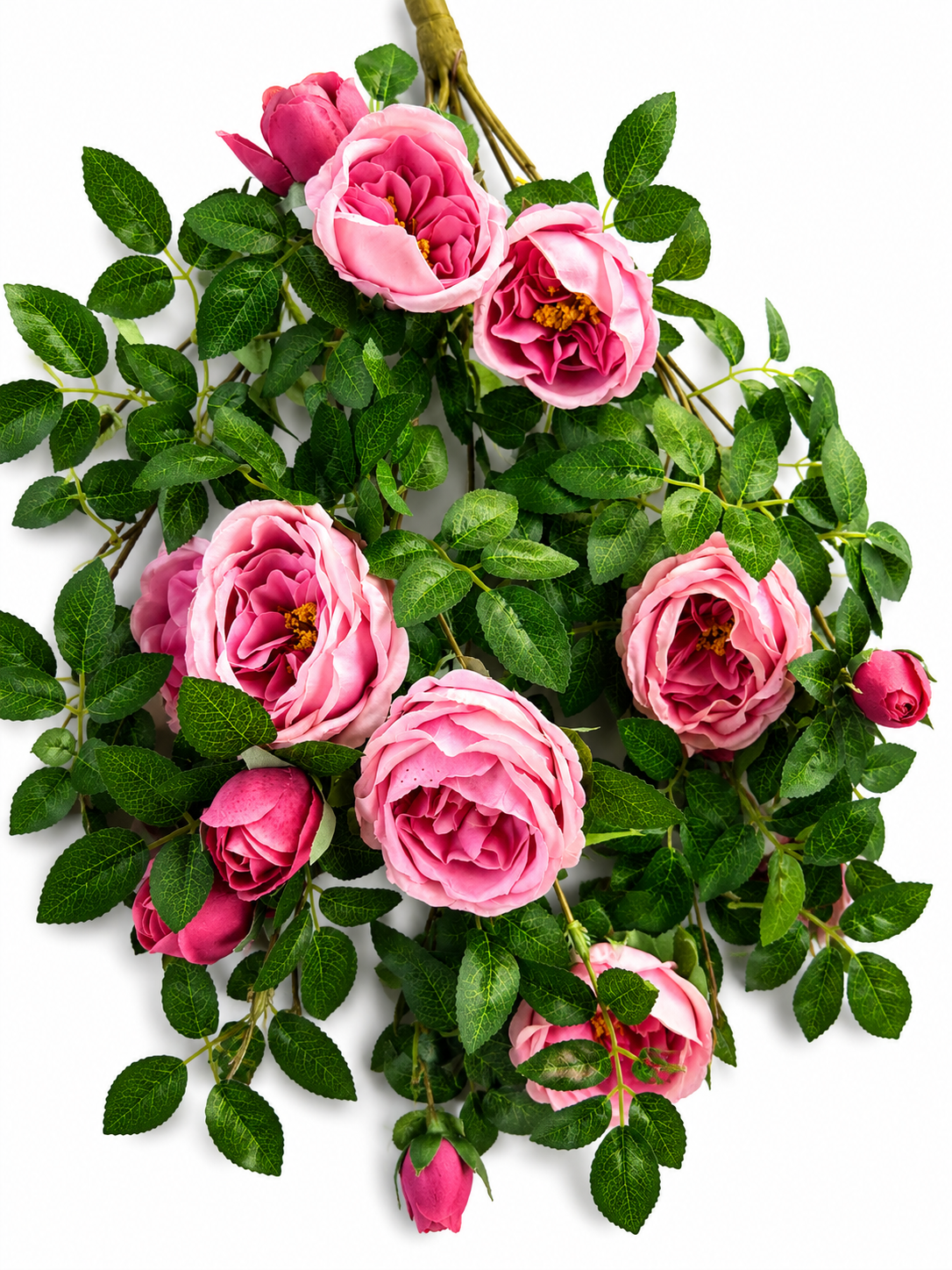 Art. Cadente Rose Cm50x58 Pink