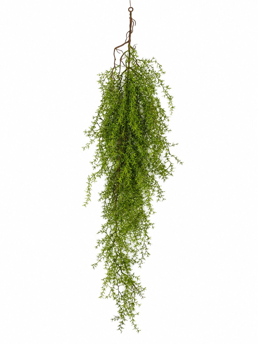 Art. Cadente Asparago Cm70 Green