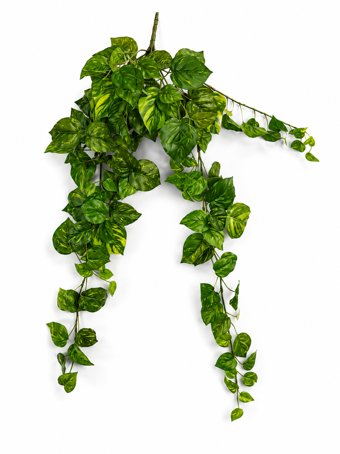 Art. Cadente Pothos C-159 Foglie Cm90 Variegated