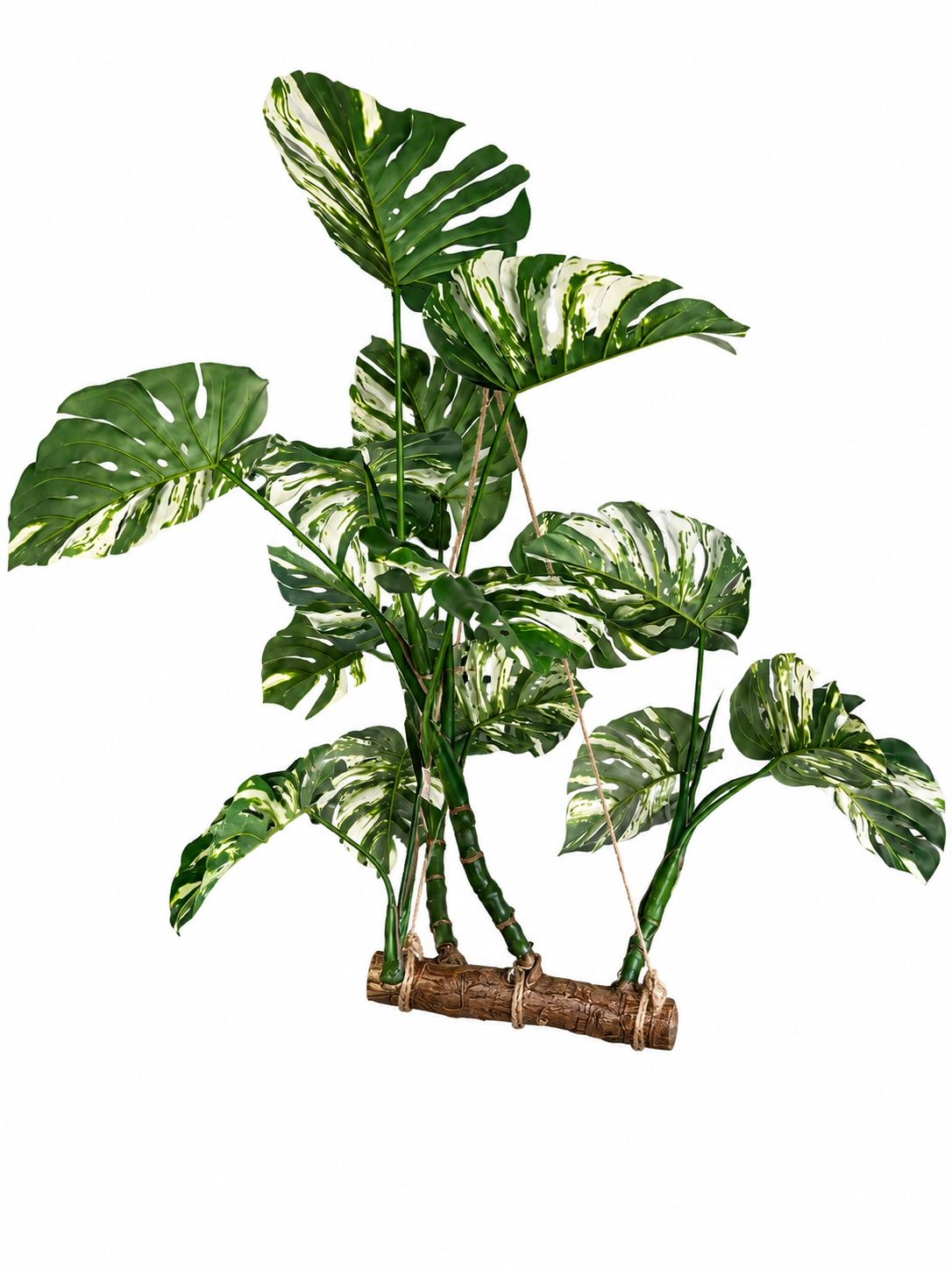 Art. Pianta Aerea Montera Con Legno 160cm - Varieg