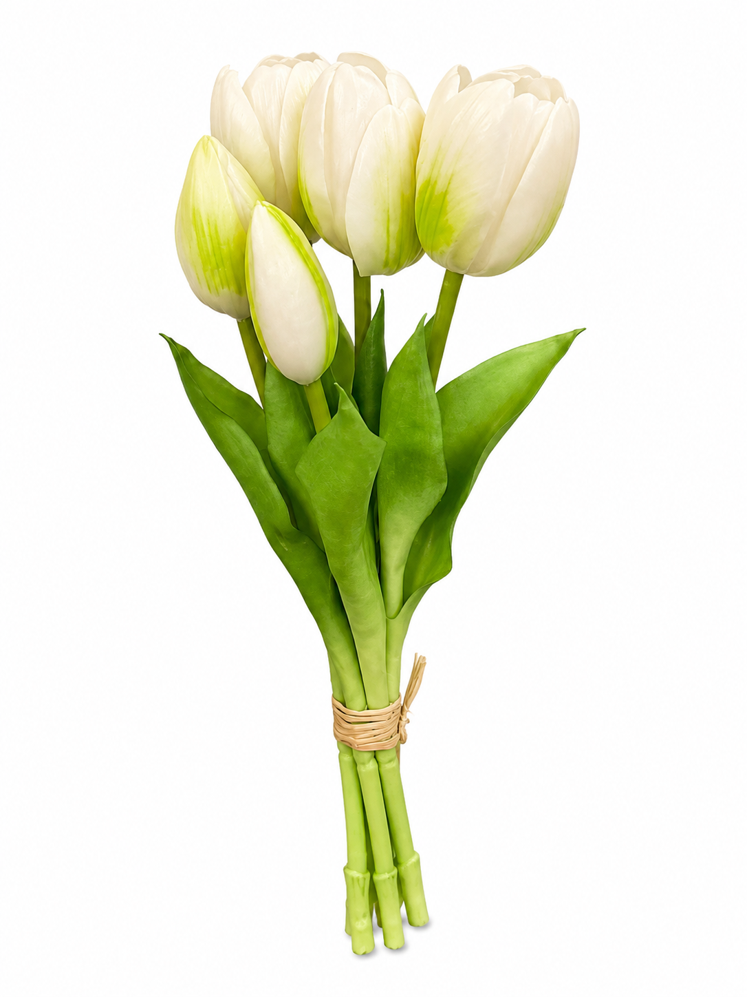 Art. Mazzo Tulipano X5 Cm12x12x28 Cream