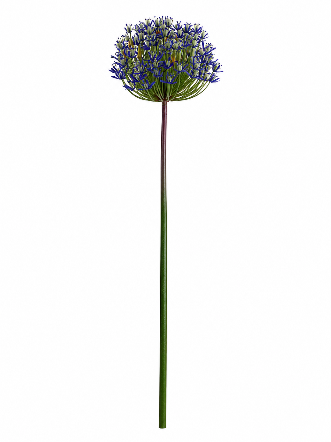 Art. Ramo Agapanthus 87cm - Blue