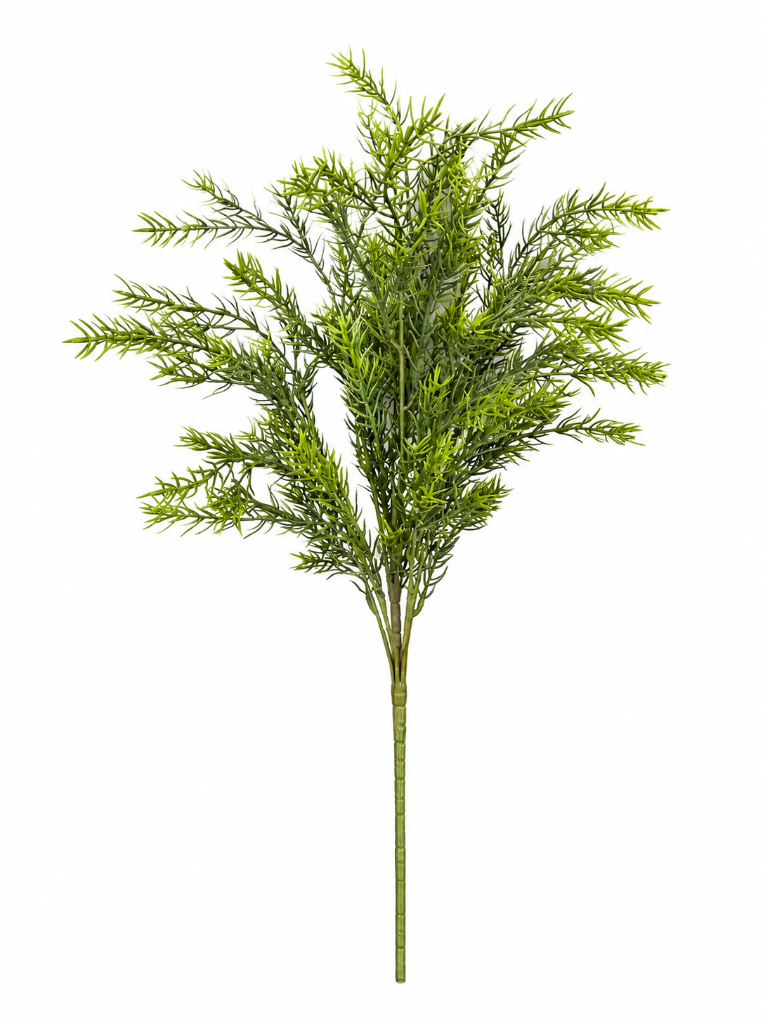 Art. Mazzo V Asparagus Bush 60cm - Grey Green