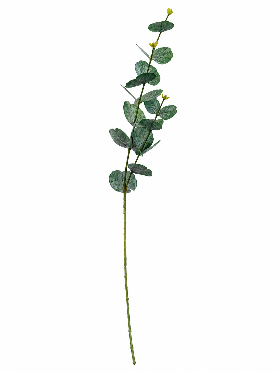 Art. Ramo Eucalipto X2 Cm13x13x75 Lt.green