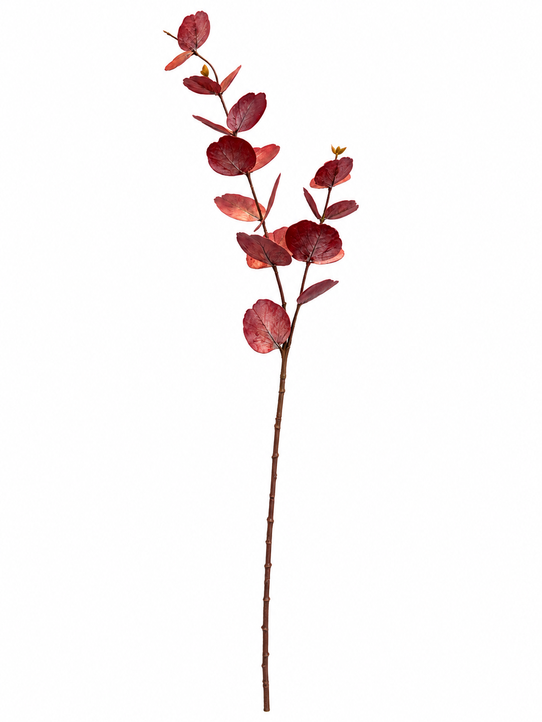 Art. Ramo Eucalipto X2 Cm13x13x75 Red
