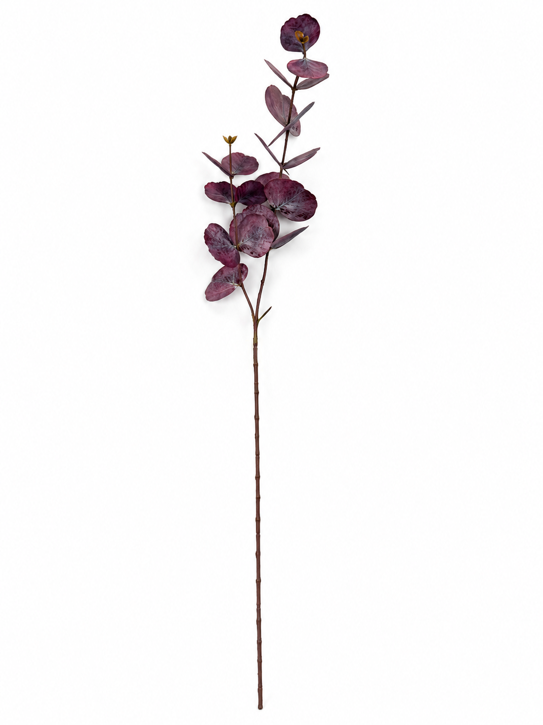 Art. Ramo Eucalipto X2 Cm13x13x75 Purple