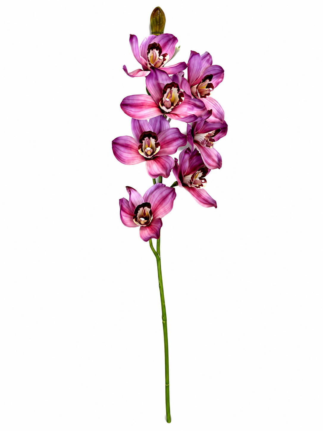 Art. Ramo Cymbidium Cm74 Purple
