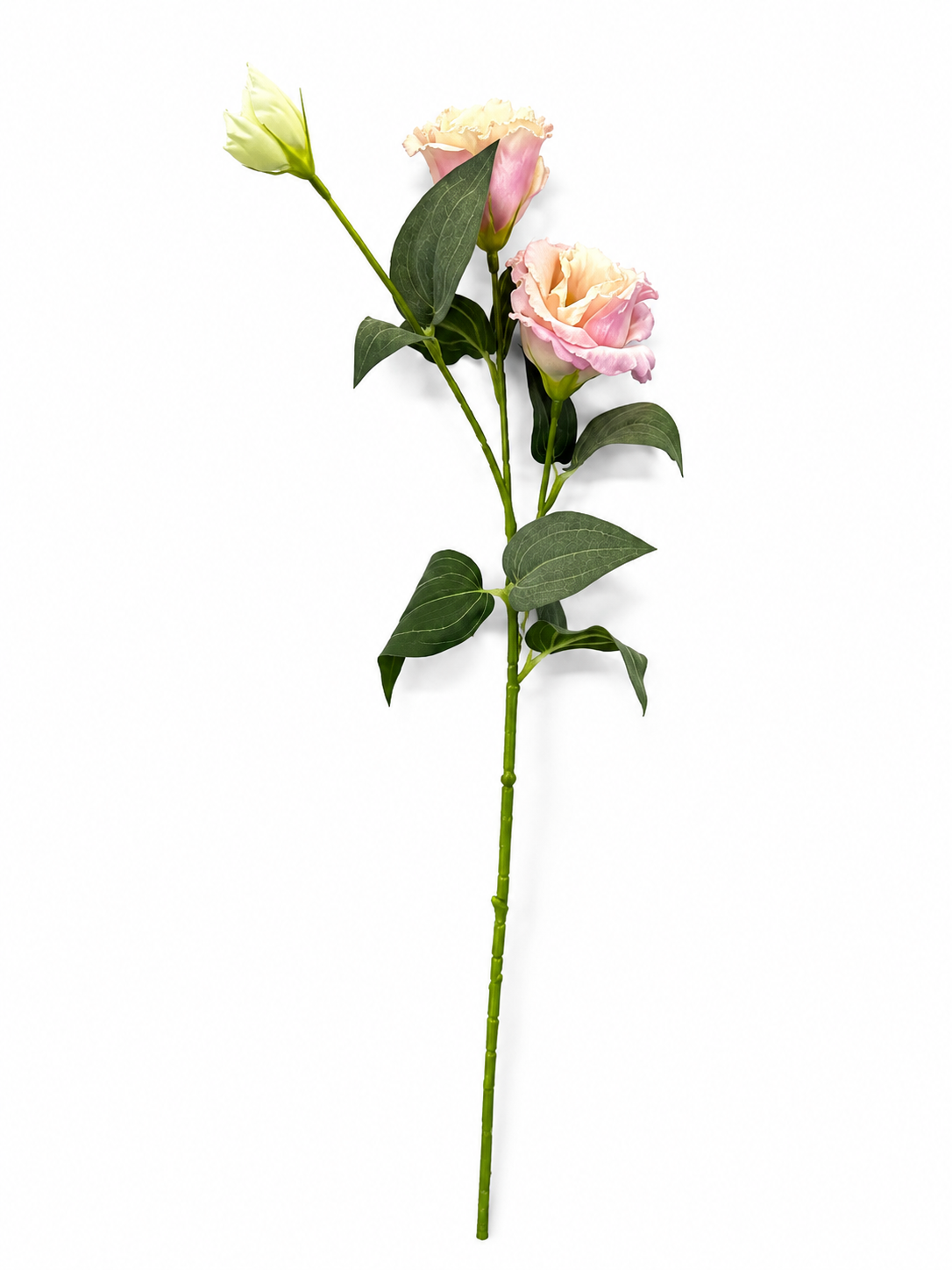 Art. Ramo Lisianthus X2 Cm70 Pink