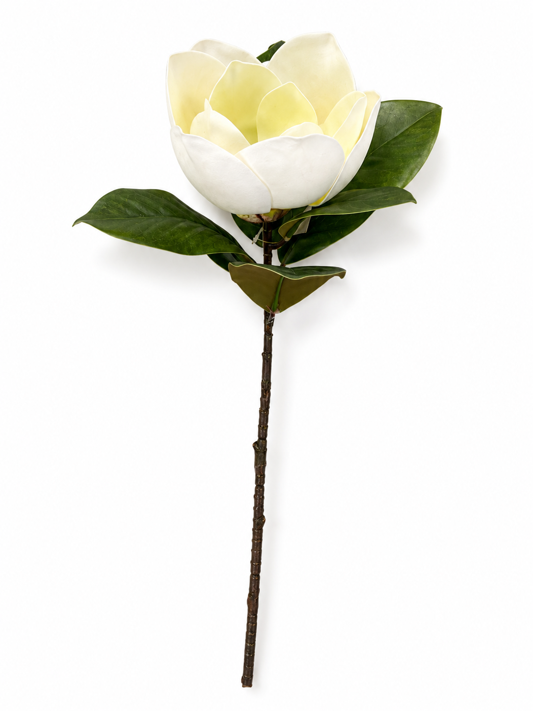Art. Ramo Magnolia Singola 67cm - Cream