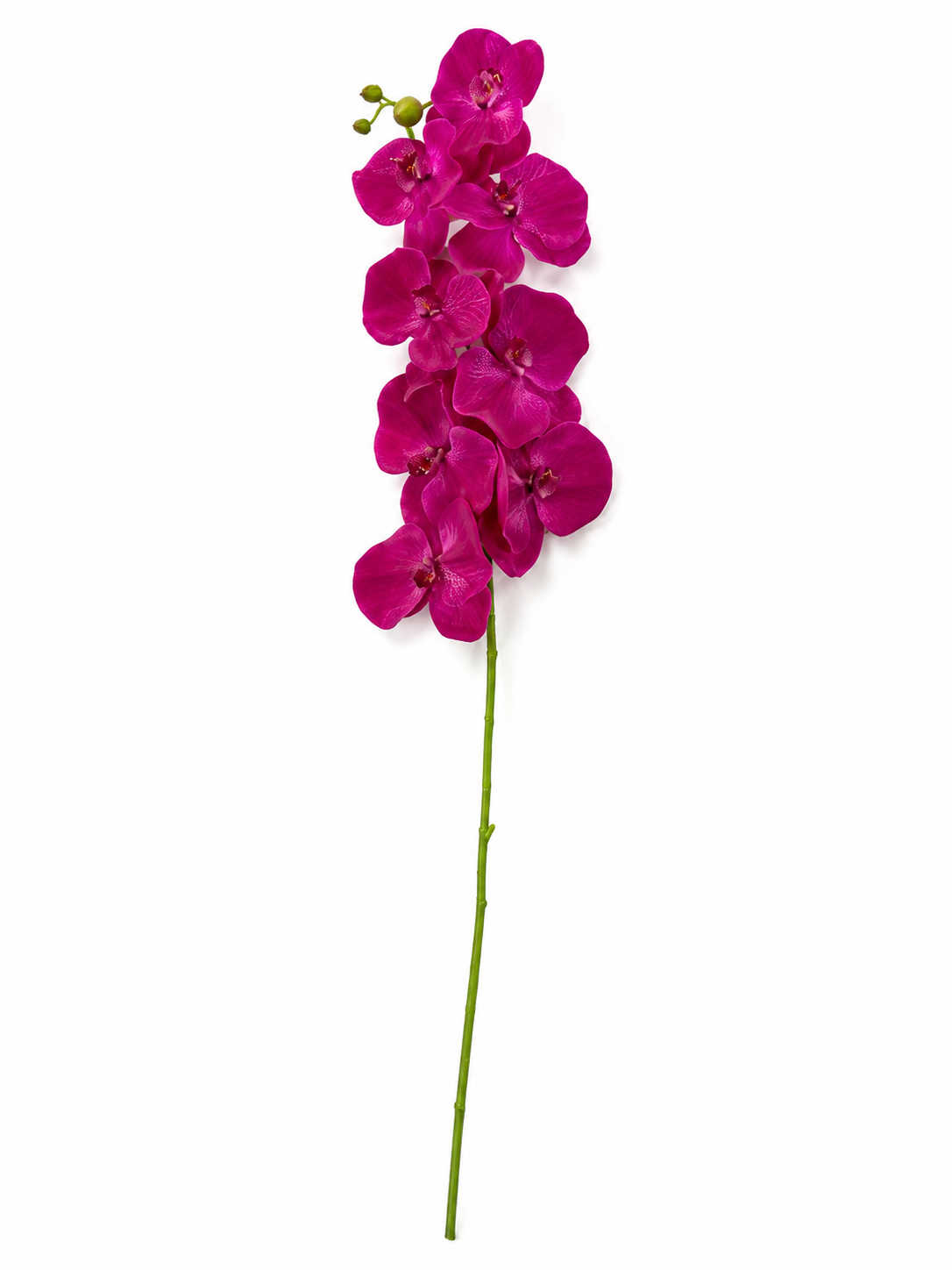 Art. Ramo Orchidea Vanda 81cm - Purple
