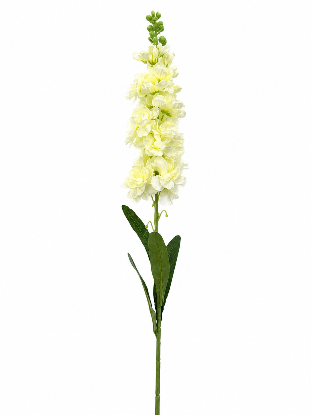 Art. Ramo Violaciocca Cm13x83 White