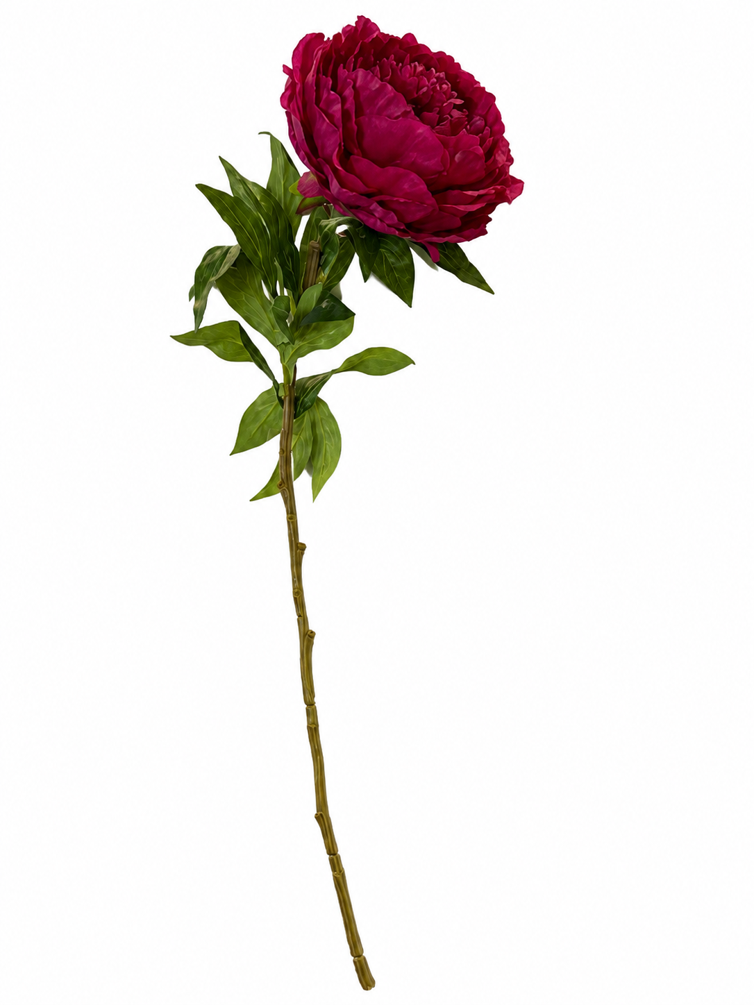 Art. Ramo Peonia Singola Cm60 Burgundy