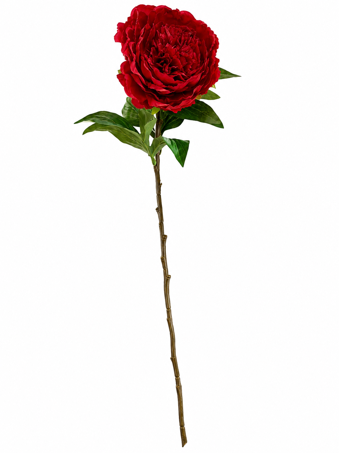 Art. Ramo Peonia Singola Cm60 Red