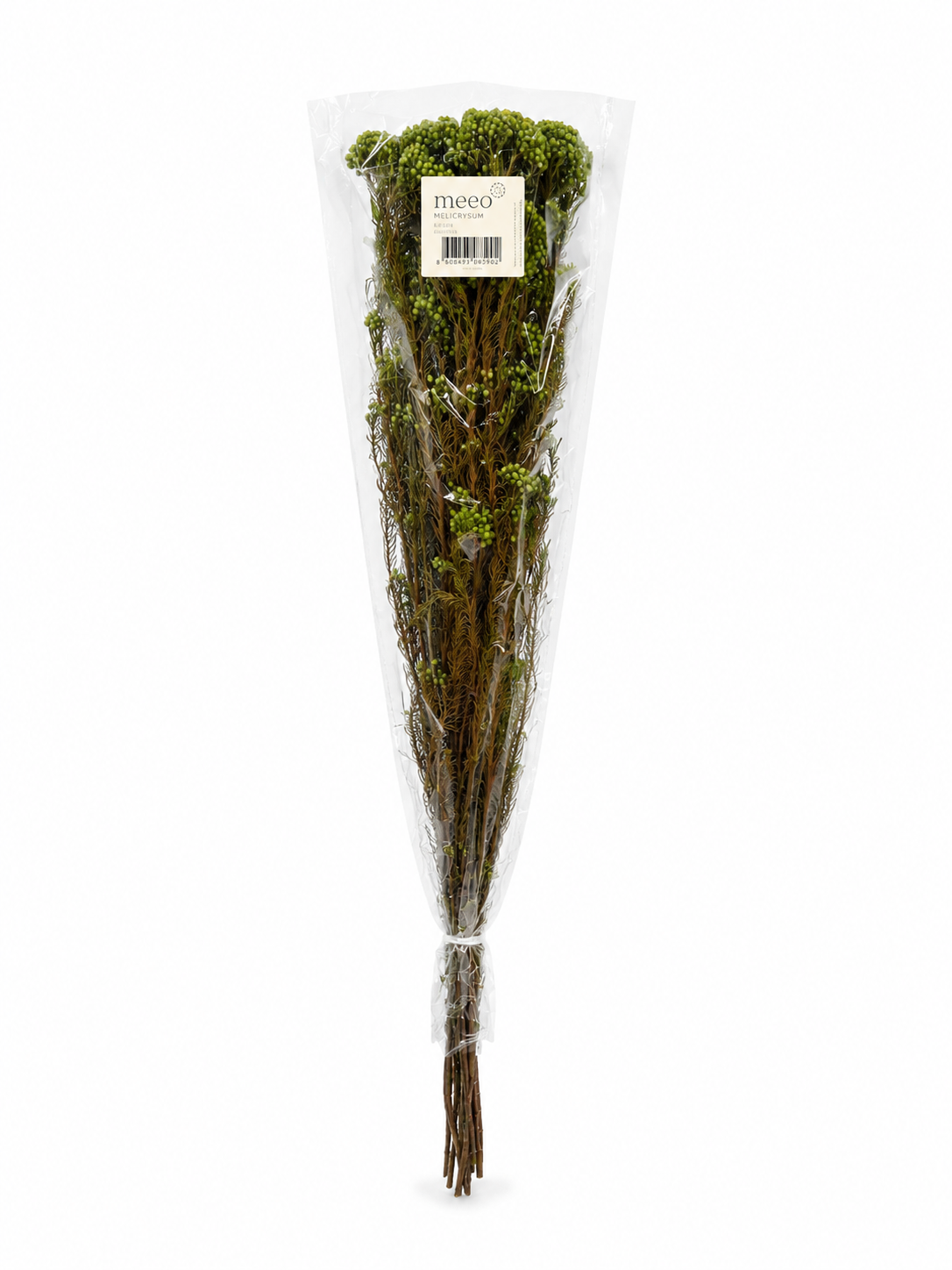 Preserved Helichrysum Green