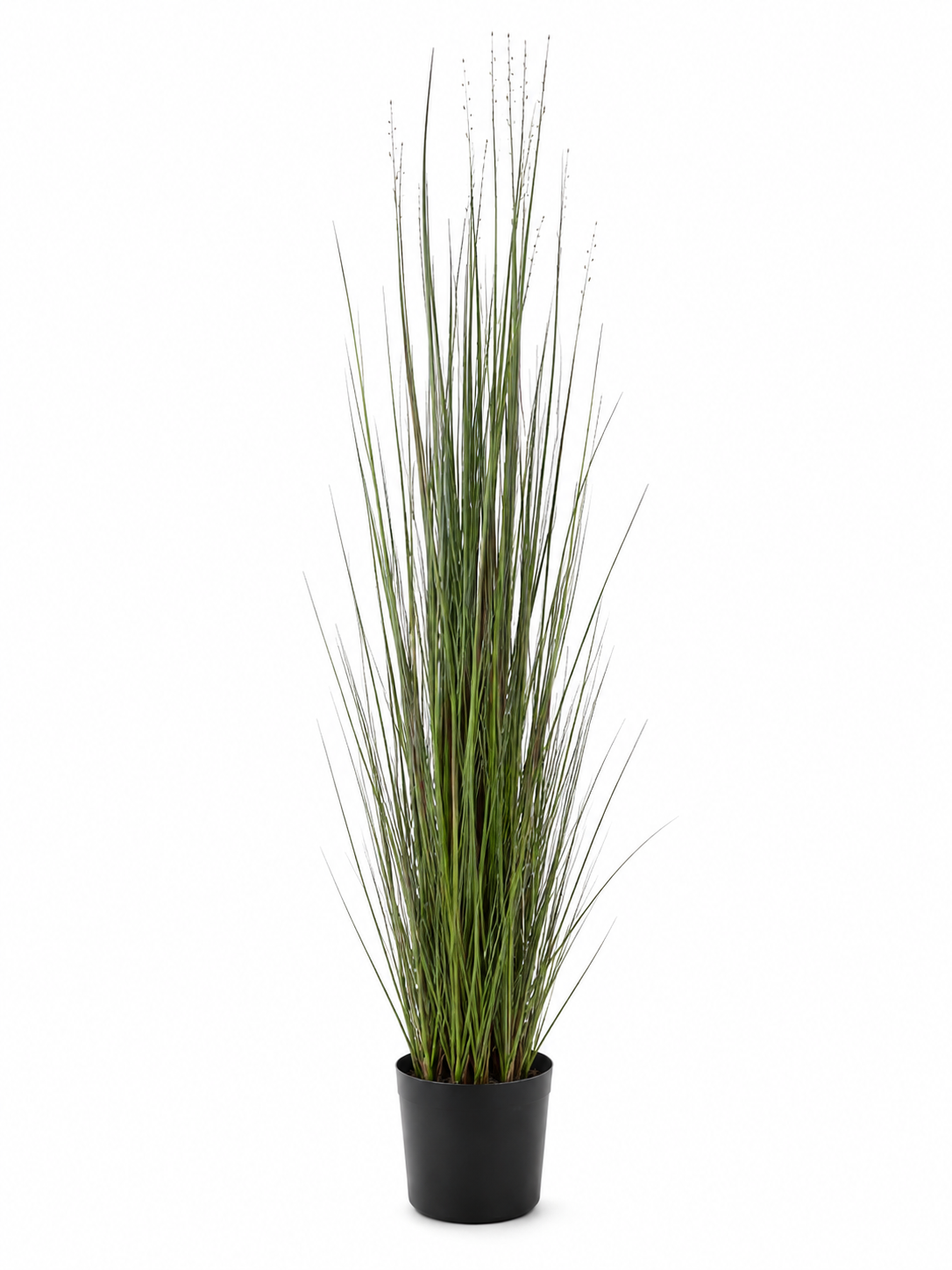 Art. Pianta Erba Cipollina 180cm In Vaso Green